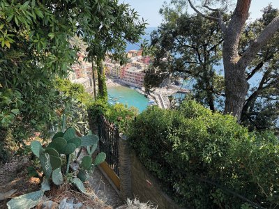  &copy; YUMMI - stock.adobe.com