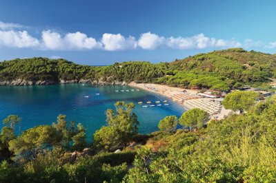  © antonio scarpi-fotolia.com