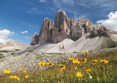  © Daniel Prudek - stock.adobe.com