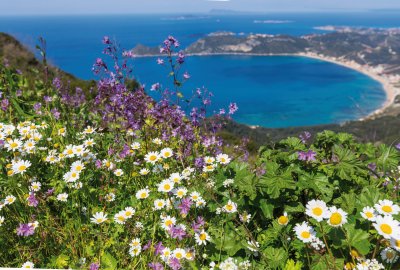  © Galyna Andrushko-fotolia.com