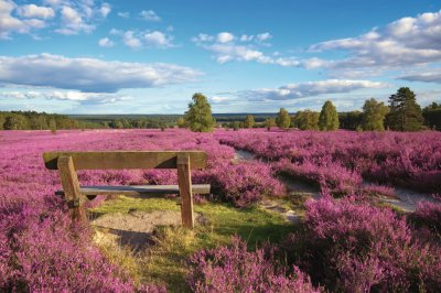  &copy; BVpix-stock.adobe.com