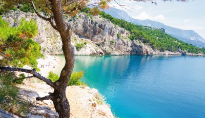  © lukaszimilena - stock.adobe.com