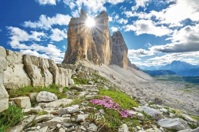  © Jenny Sturm-fotolia.com