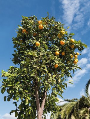  © EKH-Pictures-fotolia.com