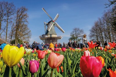  © Keukenhof Holland