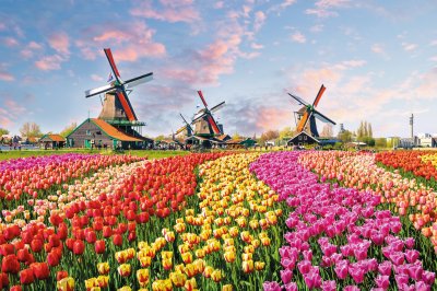 © Olena Z - stock.adobe.com