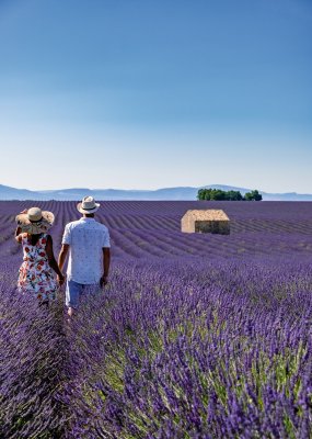  © Fokke Baarssen - stock.adobe.com