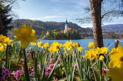  © www.bled.si/Jošt Gantar