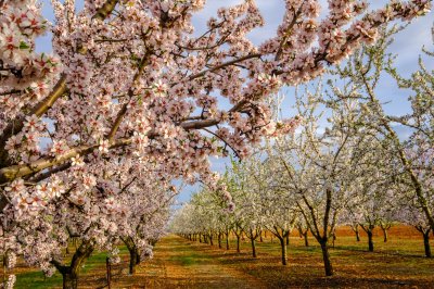  &copy; Marina - stock.adobe.com