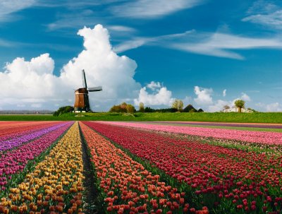  © iStock/JacobH