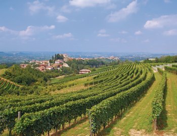 Weinanbaugebiet Langhè bei Asti im Piemont © travelpeter - Fotolia.com