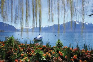  © Elenarts-fotolia.com