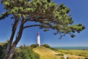  © Henner Damke-fotolia.com