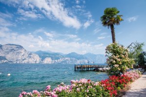  © manfredxy - fotolia.com