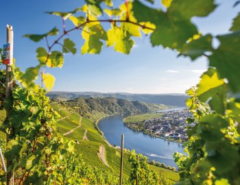 Mosel-Panorama © mh90photo - Fotolia