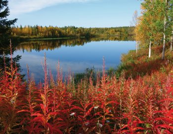 Herbststimmung am See in Lappland © luca manieri-fotolia.com
