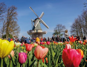 Windmühle auf dem Keukenhof &copy; Keukenhof Holland