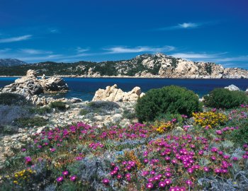 Costa Smeralda bei Cala  di Volpe &copy; Peter Eckert
