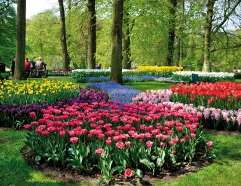 Blumenbeet im Keukenhof © Eagle2308-fotolia.com