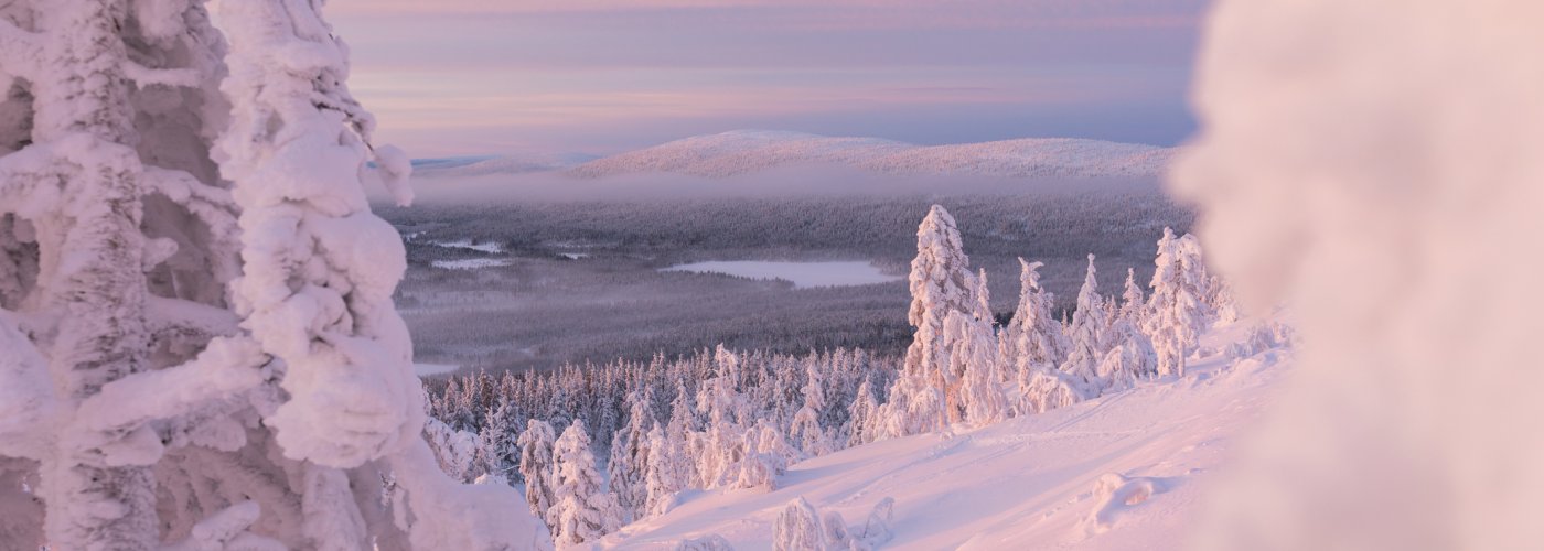 Winterlandschaft in Lappland
