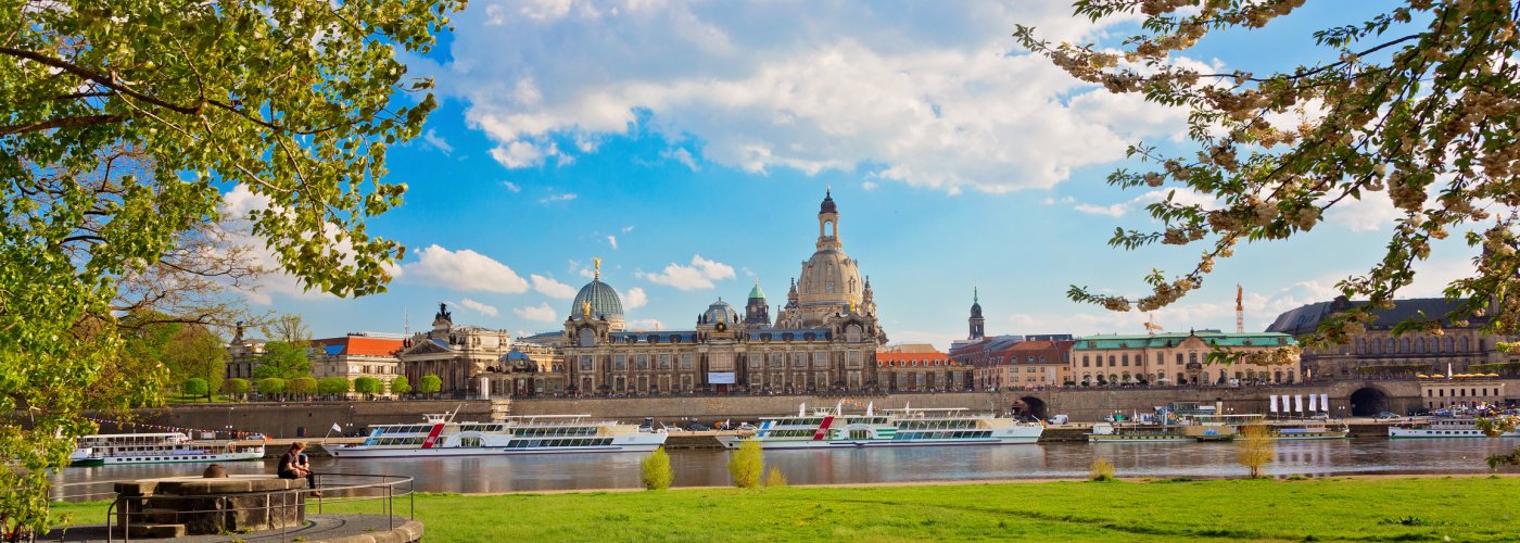 Elbufer in Dresden