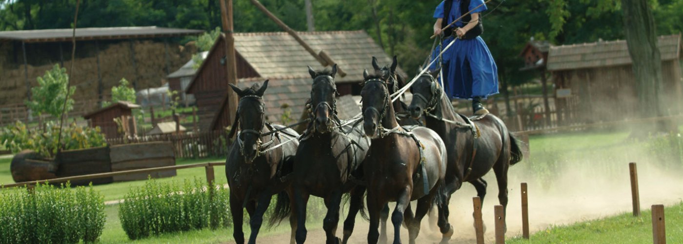 Reitervorführung in der Puszta